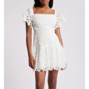 CHELSEA28 Flutter Sleeve Lace Minidress NWT IN STORES $129 ❤️❤️